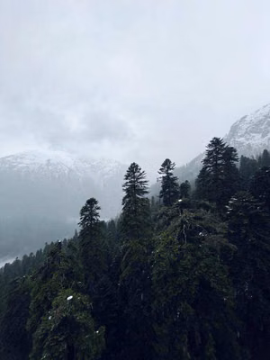 Кавказская Швейцария - Домбай