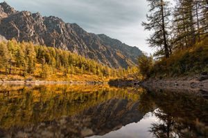 9 сентября