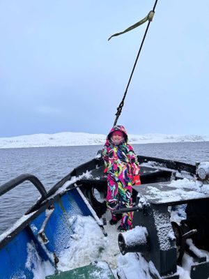 Териберка и поиск китов
