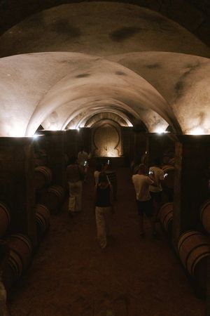 Дегустация Premier Cru вина