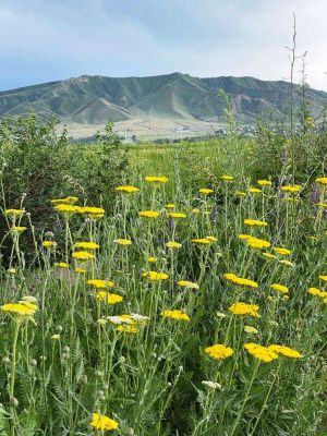 Исследуем Тянь-Шань