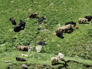 Ущелье Юсеньги