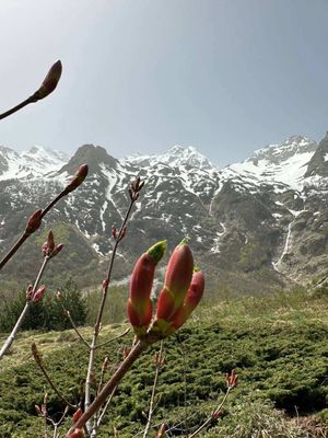 Заселение на турбазу