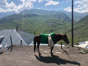 Древняя Шамаха и живописное озеро Нохур