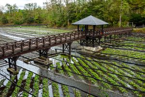 Мацумото, Нагано