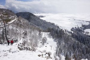 Возвращение домой