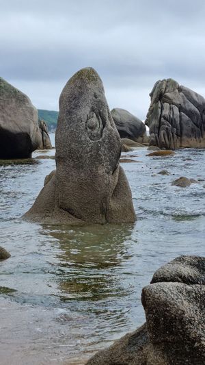 Бухта Тачингоуза