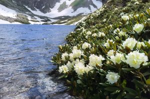 Софийские водопады