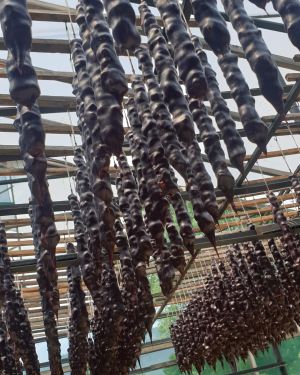 Кутаиси Западная столица Грузии