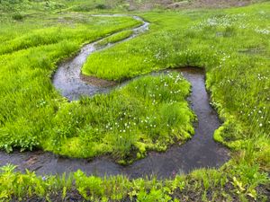 Мини-долина Гейзеров
