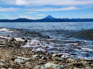 Авачинская бухта - Остров Старичков