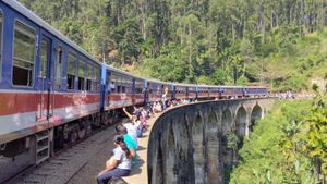 Элла и переезд на поезде в Нувара Элия