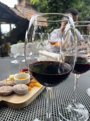 Кахетия, город любви Сигнахи, дегустация вин