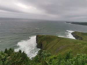 Краббе, Тобизина или Японское море