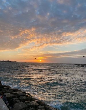 День Встреч