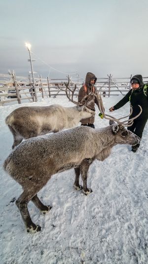Морская прогулка, баня и местные морепродукты