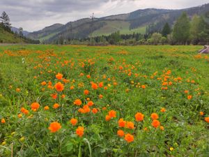 Река Катунь, Семинский перевал и дикие места