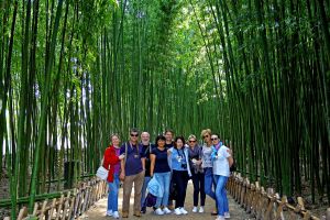 Окрестности Пусана и поездка в Кёнджу