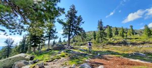 Каменный город