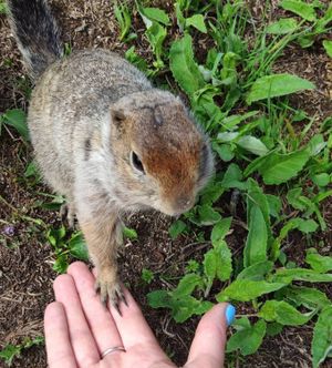 Вся Камчатка за 12 дней (всё включено)