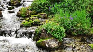 Вся Камчатка за 12 дней (всё включено)