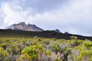 Килиманджаро с акклиматизацией: Гид-географ-альпинист