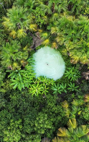 Бразилия: тропические приключения