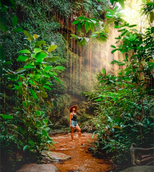 Бразилия: тропические приключения
