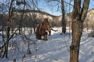 Через три заповедника Урала (зима)