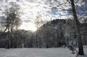 Через три заповедника Урала (зима)