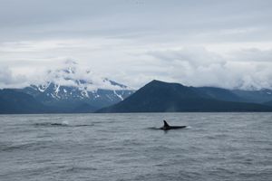 Морская прогулка