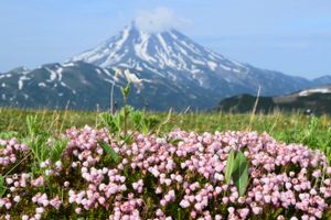 Спокойная Камчатка