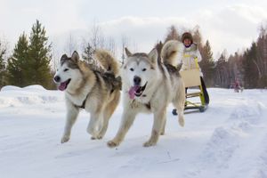 Зимнее великолепие Байкала