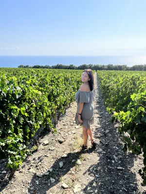 Русская Тоскана: винный тур