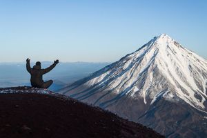От медведя до касатки