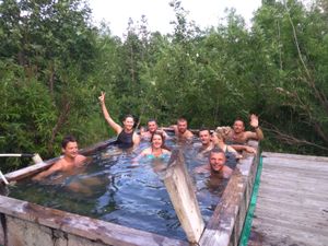 От медведя до касатки