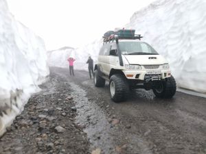 От медведя до касатки