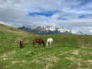 Ледник Чалаади