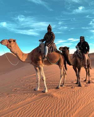 Авторский тур в Марокко