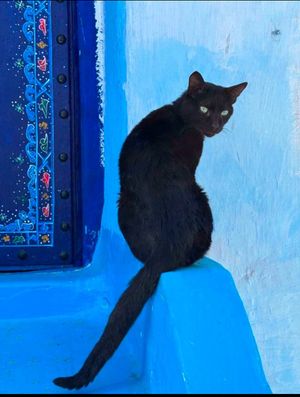 Гибралтар И Синий Город