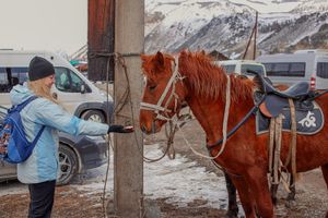 Весенний Алтай: фиолетовые горы и места силы