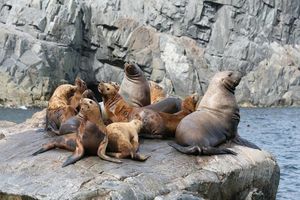 Прощаемся С Владивостоком