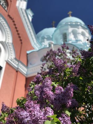 Карелия: увидеть всё