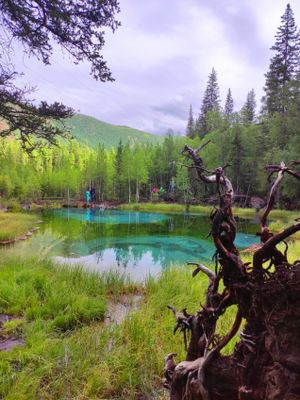 Весь Горный Алтай и красивейшая дорога России