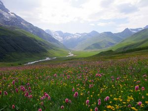 Дигория: восхитительная горная страна