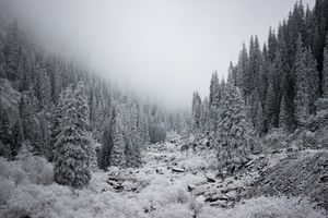 Зимняя перезагрузка на Иссык-Куле: 4 дня уюта и красоты