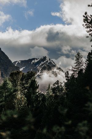 На Алтай к ледникам Актру! Без рюкзаков, 6 дней