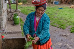 Высокогорье Перу