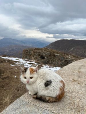 Красоты Дагестана за 5 дней - всё включено