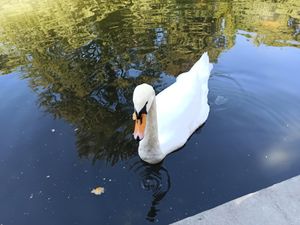 Свободный день